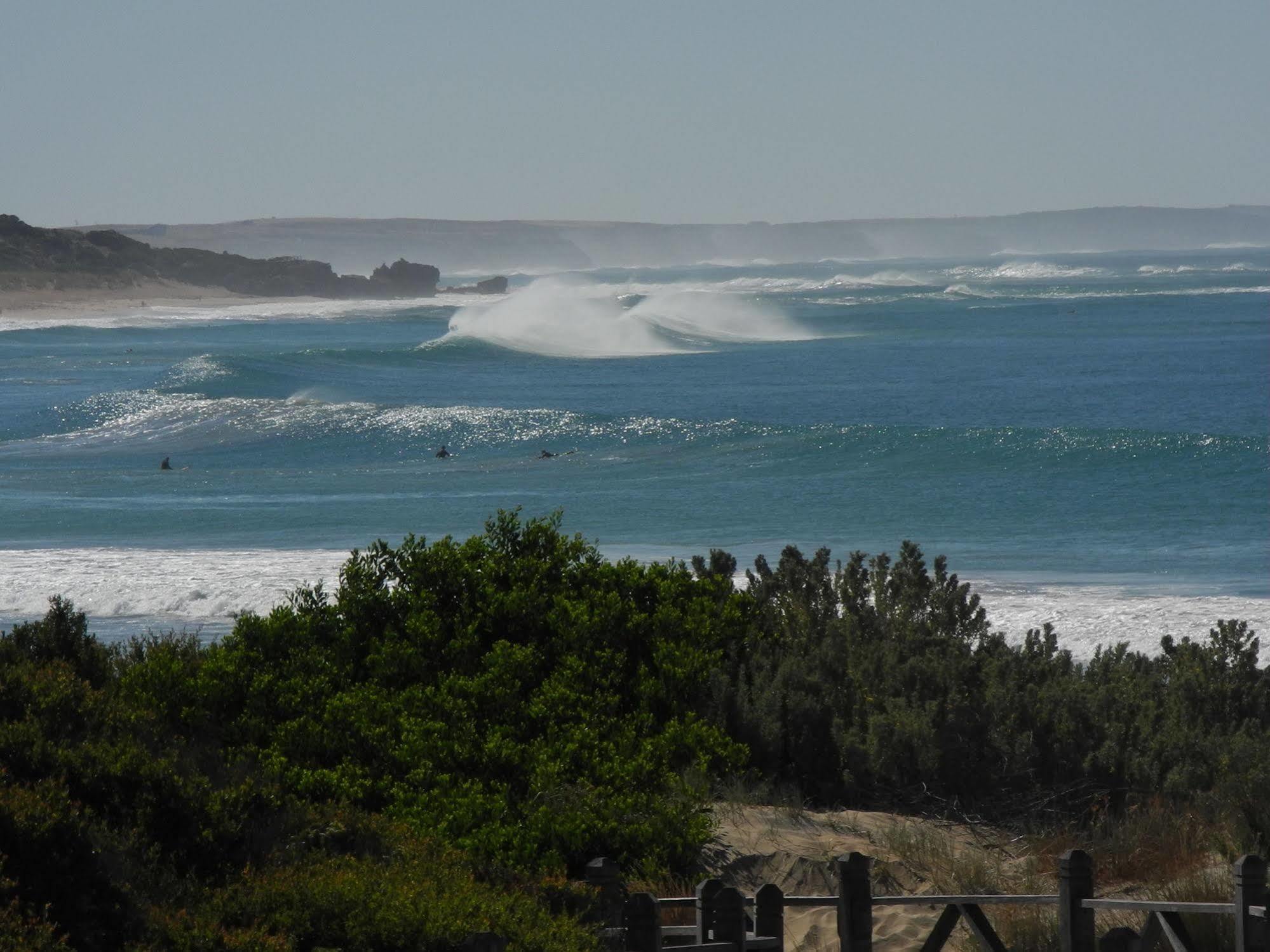 Elm Tree Motel Warrnambool Kültér fotó